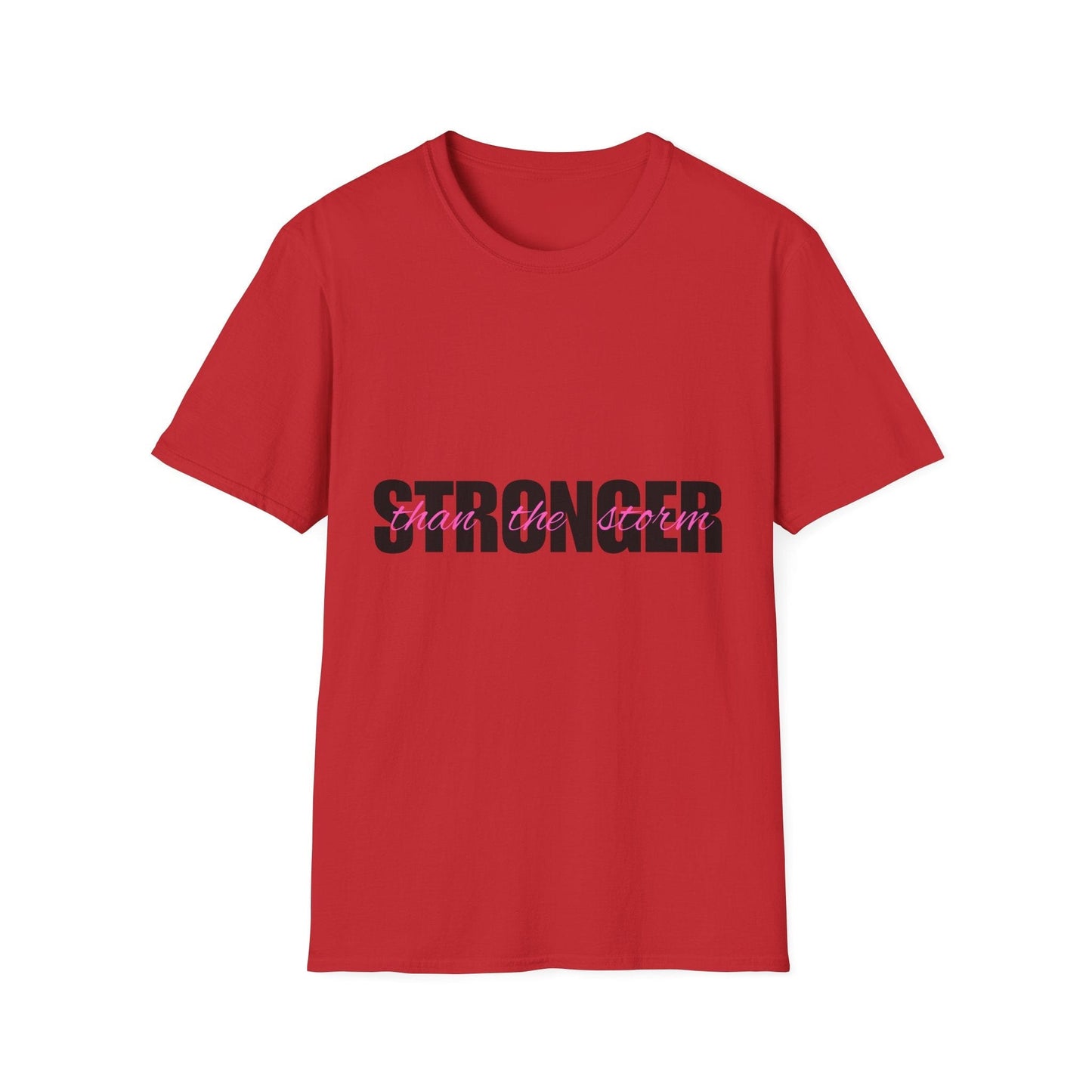 Stonger Than The Storm Ladies T-Shirt