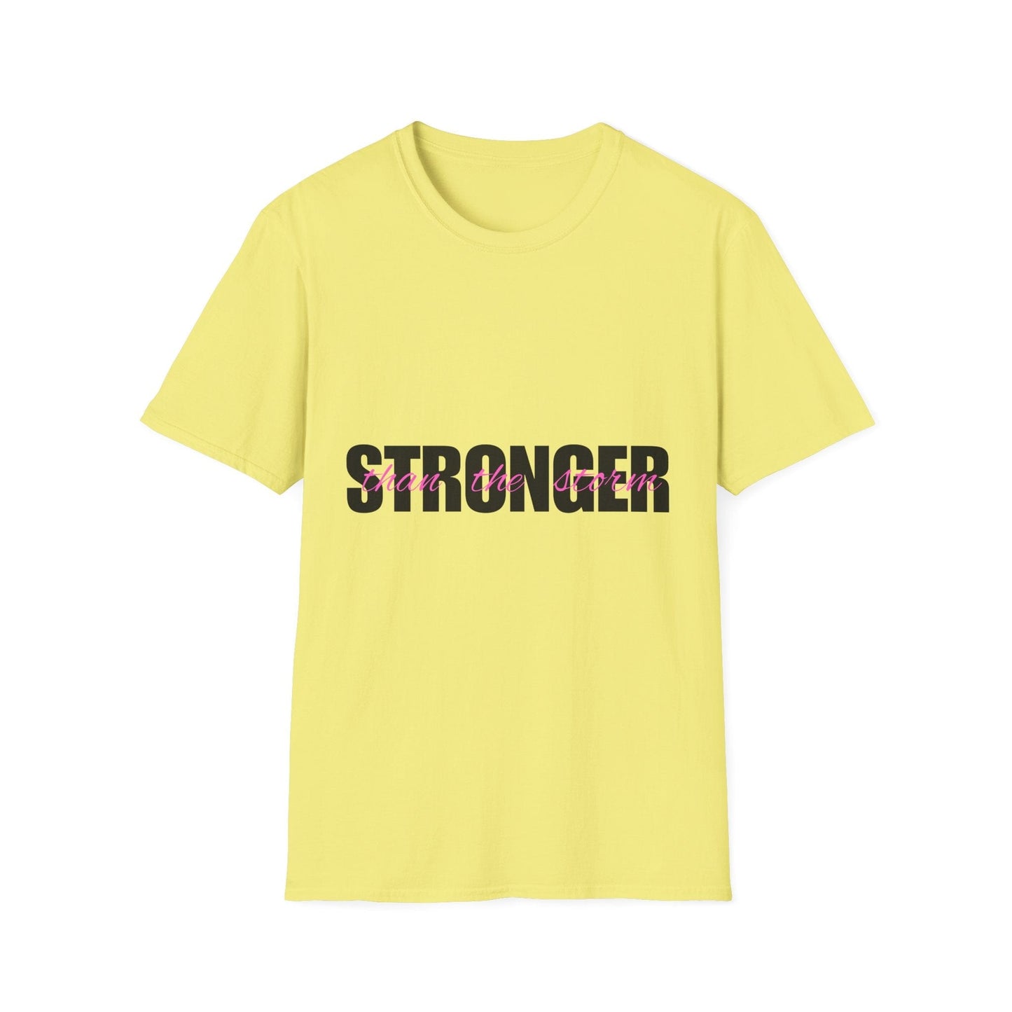 Stonger Than The Storm Ladies T-Shirt