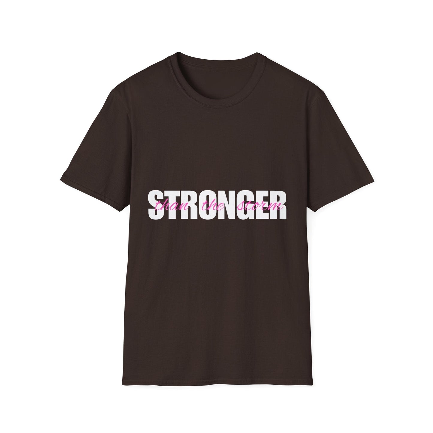 Stonger Than The Storm Ladies T-Shirt